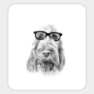 Intelligent friend Spinone by heidiannemorris Sticker